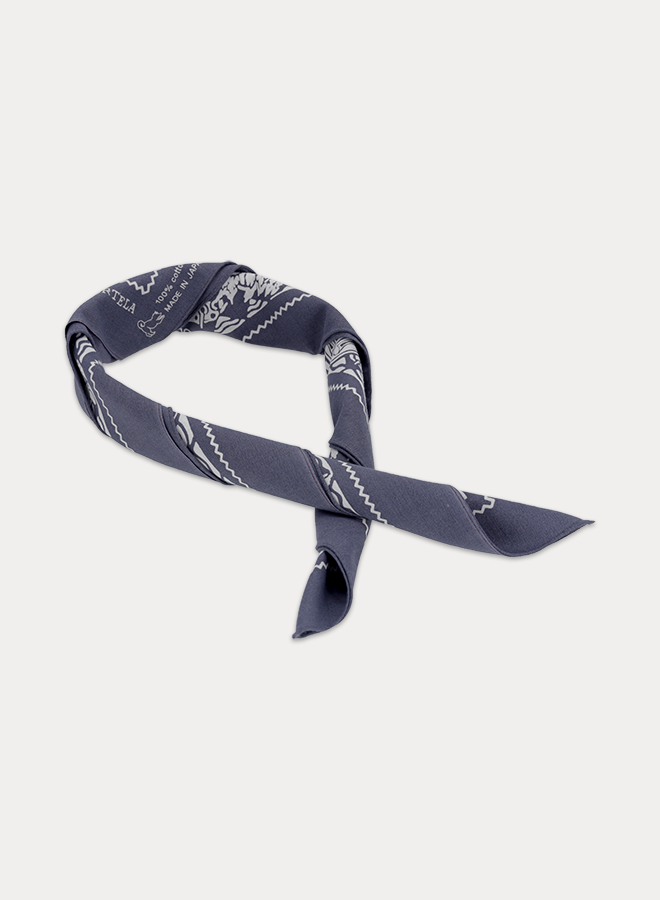 BANDANA-APACH_AVI_2
